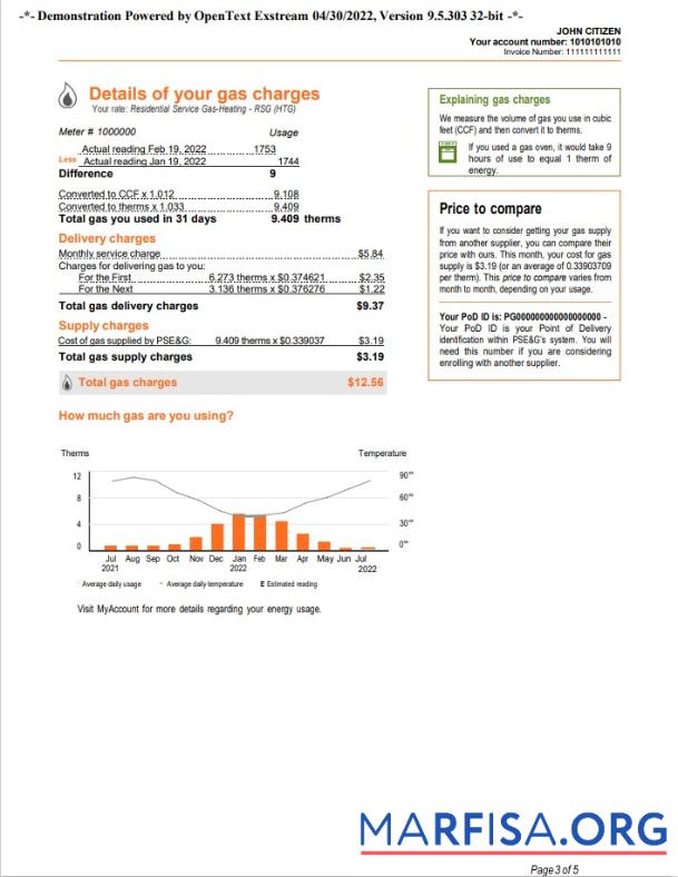 Downloadable USA New York PSEG utility bill, Word and PDF template, 5 pages 3
